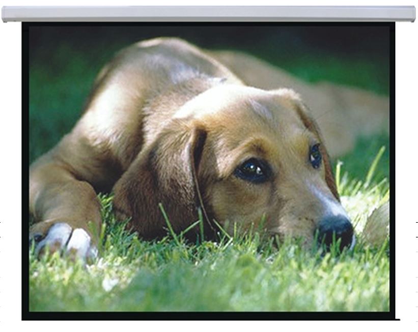 Brateck Auto-lock Manual Projection Screen-72â€™â€™(1.45X1.10M) /(4:3 Ratio) (LS)